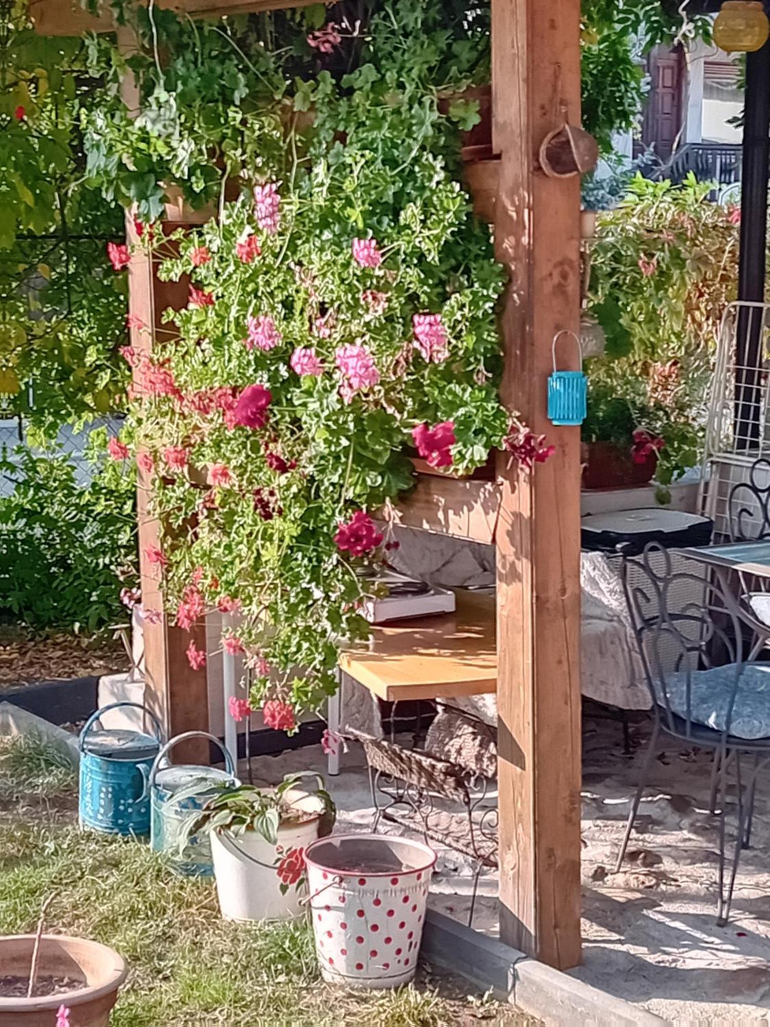 Rose Room 40M2 With Terrace 25M2 In Greeny Area For 4 Person Ljubljana Bagian luar foto