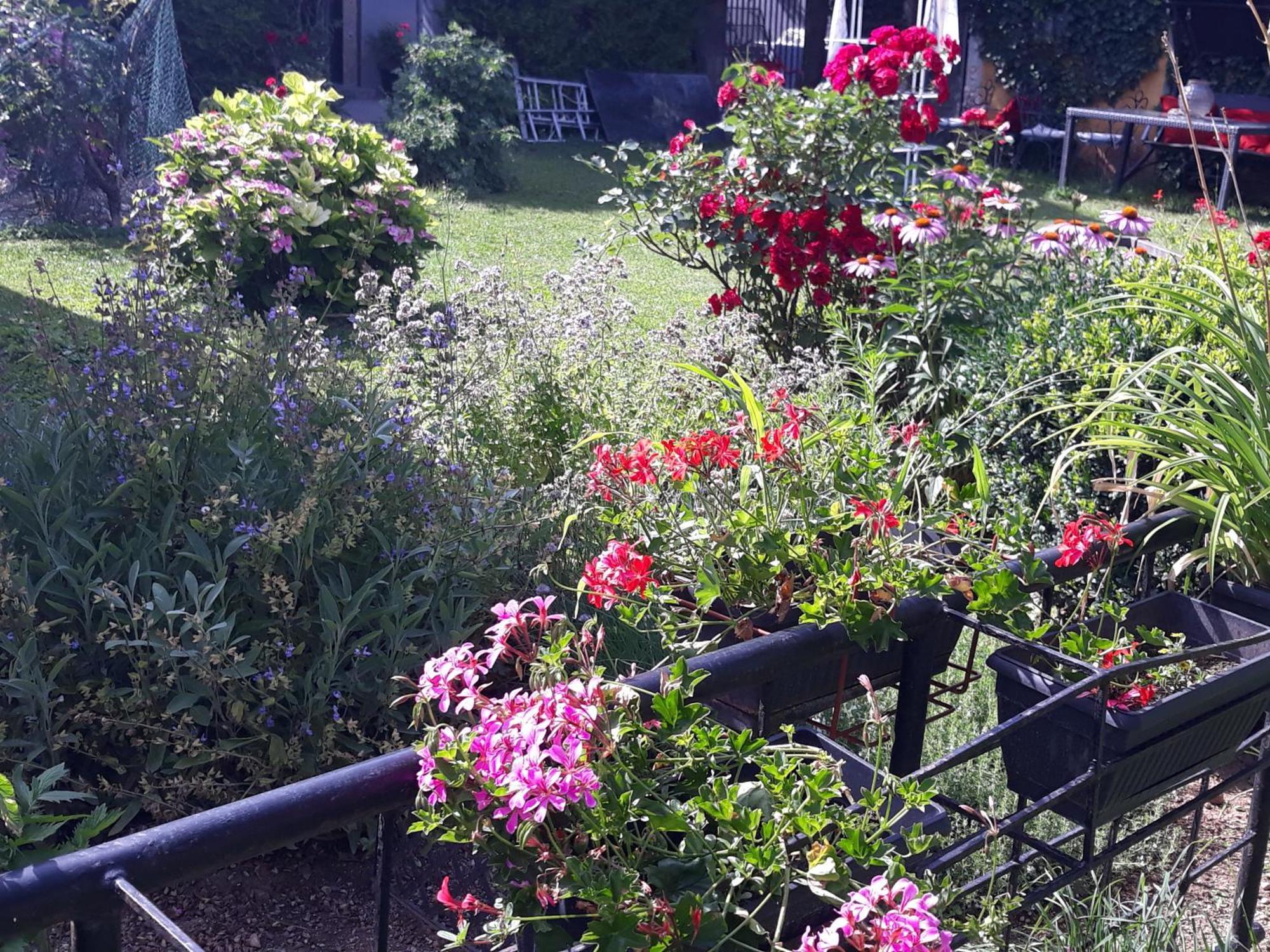 Rose Room 40M2 With Terrace 25M2 In Greeny Area For 4 Person Ljubljana Bagian luar foto