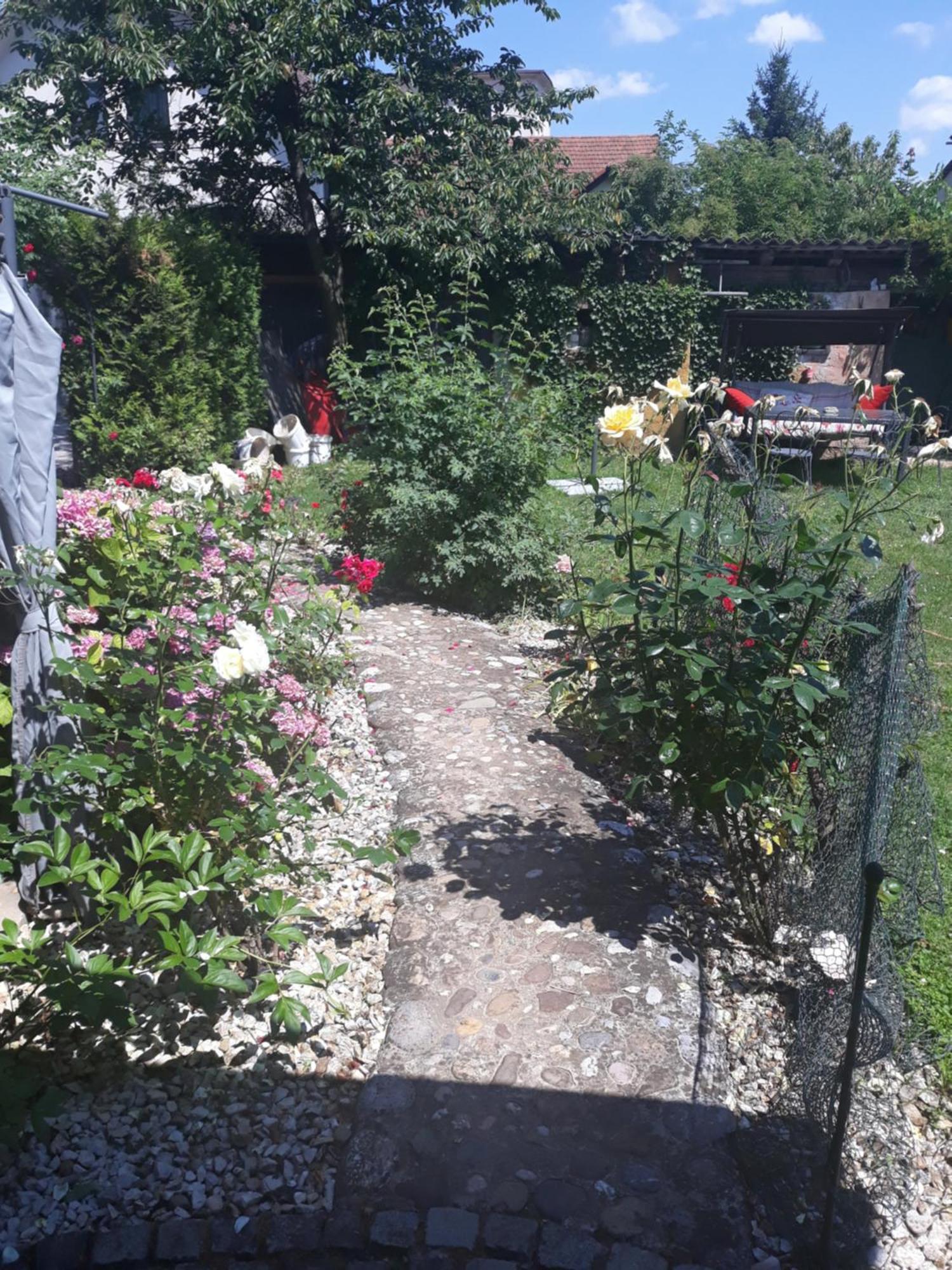Rose Room 40M2 With Terrace 25M2 In Greeny Area For 4 Person Ljubljana Bagian luar foto