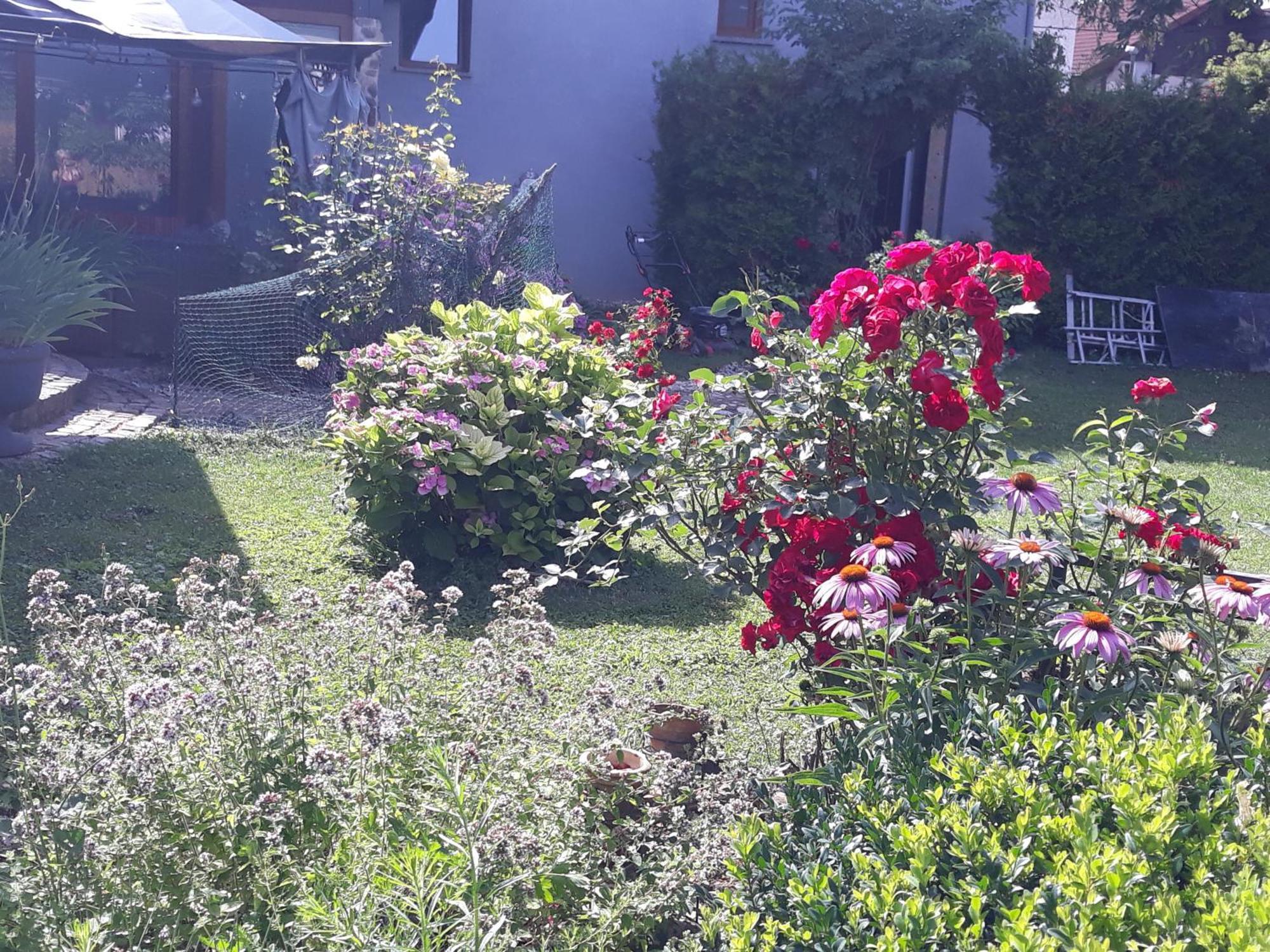 Rose Room 40M2 With Terrace 25M2 In Greeny Area For 4 Person Ljubljana Bagian luar foto